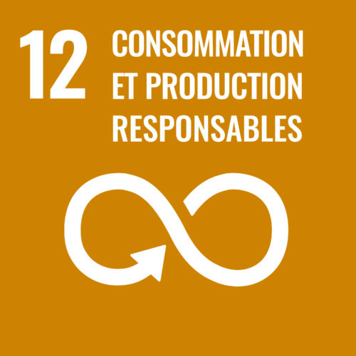 Objectif 12 : Consommation et production responsables