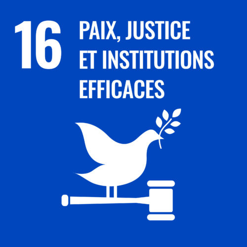 Objectif 16 : Paix, justice et institutions efficaces
