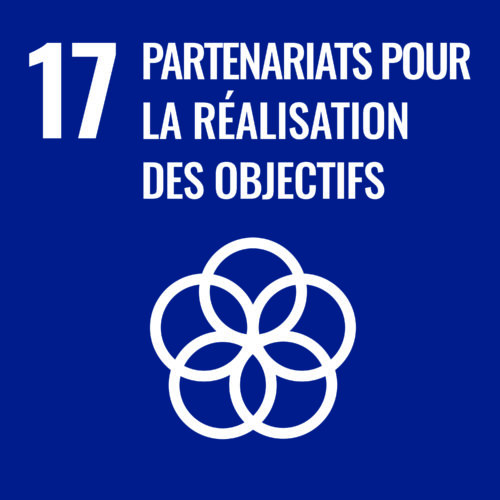 Objectif 17 : Partenariats pour la réalisation des objectifs